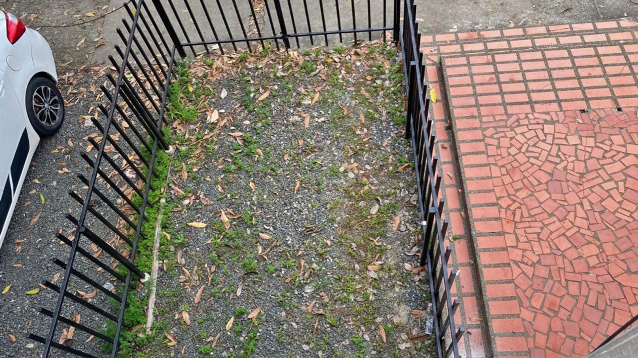 place photo 23