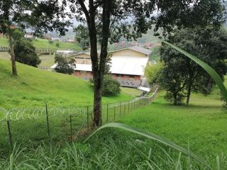 Foto 9 de lote en venta en primavera. Cod V2169