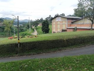 Foto 5 de lote en venta en primavera. Cod V2169