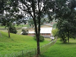Foto 10 de lote en venta en primavera. Cod V2169