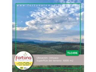 VENTA DE FRACCION DE 6000 M2 EN INTIYACO