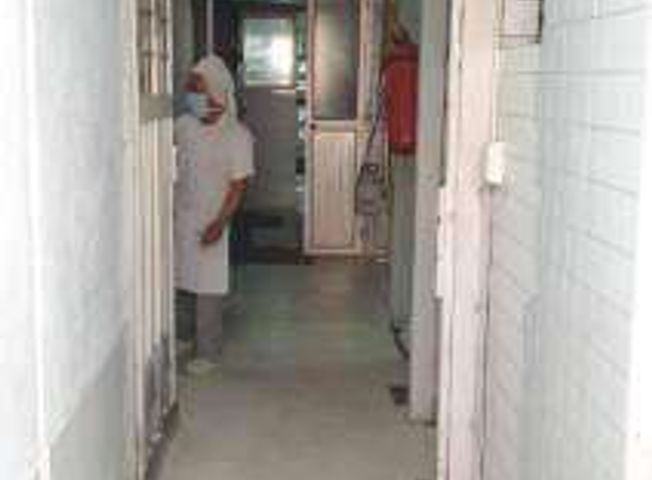 place photo 7