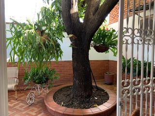 Foto 7 de SECTOR CAOBOS