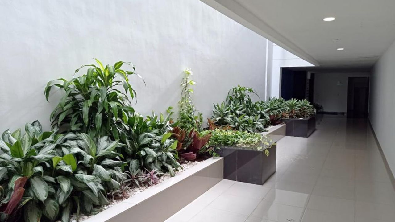 place photo 16