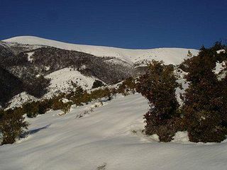 Fracción de Campo con Increíble Vista, Arroyo y Bosque en Venta - Lago Gutiérrez,  Bariloche