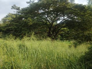 Foto 1 de lote en venta en quebrada seca. Cod V118626