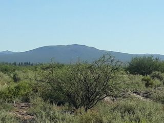 Foto 1 de Venta - Finca  de 10 ha- Rincón Del Atuel San Rafael