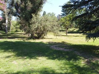 Terreno - Las Mojarras