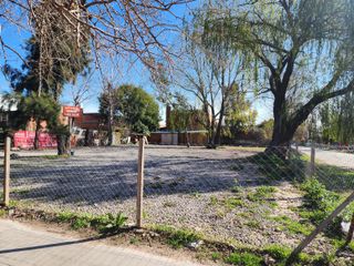Foto 10 de Terreno venta Tigre