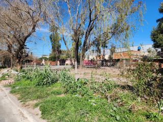 Foto 11 de Terreno venta Tigre