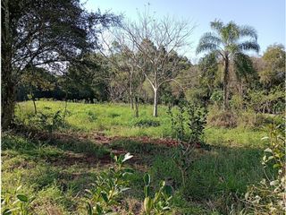 Foto 5 de Gran Terreno-Wanda -Mnes