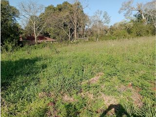 Foto 6 de Gran Terreno-Wanda -Mnes