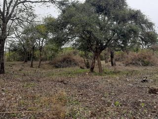 Foto 1 de VENTA TERRENOS EN VAQUEROS
