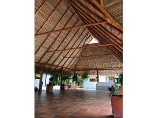 Foto 7 de Venta Lote Tolima - Carmen de Apicalá