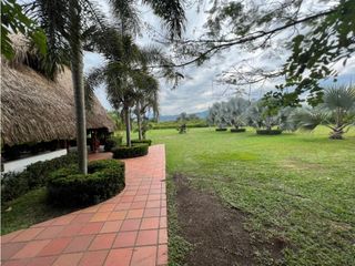 Foto 2 de Venta Lote Tolima - Carmen de Apicalá