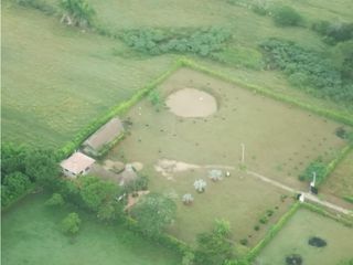 Foto 4 de Venta Lote Tolima - Carmen de Apicalá