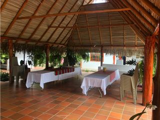 Foto 3 de Venta Lote Tolima - Carmen de Apicalá