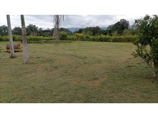 Foto 8 de Venta Lote Tolima - Carmen de Apicalá