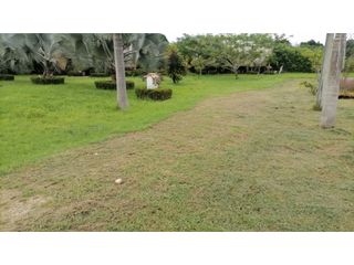 Foto 10 de Venta Lote Tolima - Carmen de Apicalá