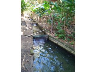 Foto 13 de FINCA EN BONDA-SANTA MARTA