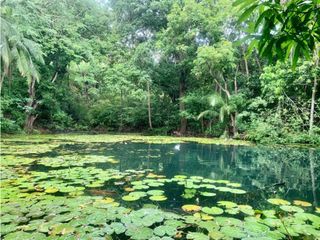 Foto 2 de FINCA EN BONDA-SANTA MARTA