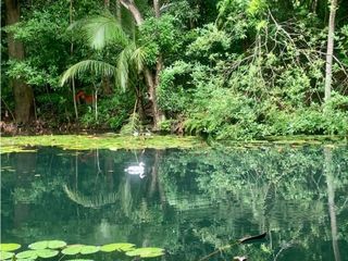 Foto 1 de FINCA EN BONDA-SANTA MARTA