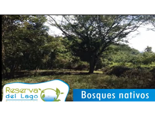 Foto 10 de Venta Lote Parcelación Reserva del Lago SOPETRAN Antioquia