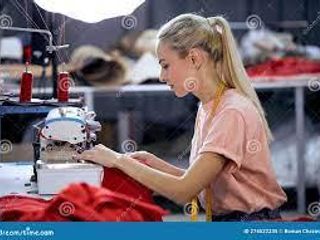 Fabrica de indumentaria Femenina