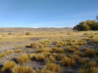 Imponente campo en venta de 14.260 ha. con costa de lago cercano a Piedra del Aguila - Neuquen