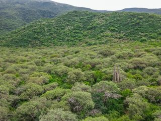 CAMPO VENTA 220 HECTAREAS PRODUCTIVAS LA PEDRERA