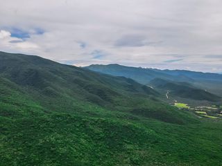 CAMPO VENTA 220 HECTAREAS PRODUCTIVAS LA PEDRERA