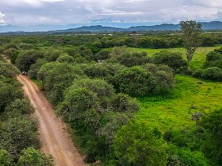 CAMPO VENTA 220 HECTAREAS PRODUCTIVAS LA PEDRERA