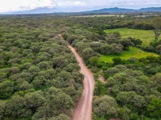 CAMPO VENTA 220 HECTAREAS PRODUCTIVAS LA PEDRERA