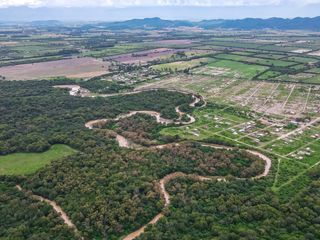 CAMPO VENTA 220 HECTAREAS PRODUCTIVAS LA PEDRERA