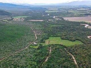 CAMPO VENTA 220 HECTAREAS PRODUCTIVAS LA PEDRERA