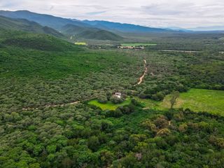 CAMPO VENTA 220 HECTAREAS PRODUCTIVAS LA PEDRERA