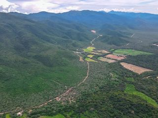 CAMPO VENTA 220 HECTAREAS PRODUCTIVAS LA PEDRERA