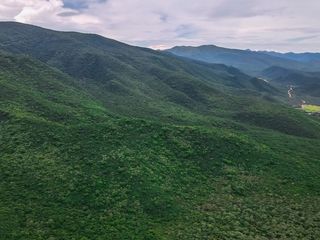 CAMPO VENTA 220 HECTAREAS PRODUCTIVAS LA PEDRERA