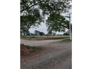 Foto 5 de El Pacara - Venta de lotes en Chicoana