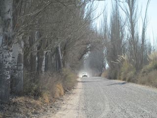 Venta Terreno, B° cerrado, San Carlos Valle de Uco