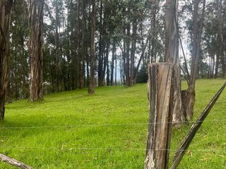 Terreno de venta ubicado en la Urbanización El Refugio, Sangolquí