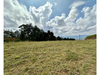 Venta de Lote en el Tablazo Rionegro