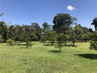 Foto 7 de Venta de Finca  Campestre en Llanogrande