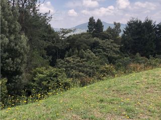 Foto 4 de Venta de lote en el Alto de las Palmas