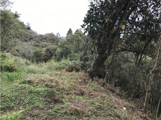 Foto 2 de Venta de Lote en el Alto Palmas