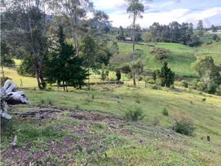 Venta de Lote en Rionegro