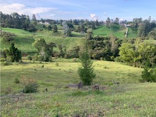 Venta de Lote en Rionegro