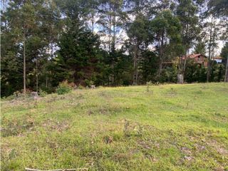 Venta de Lote en Rionegro