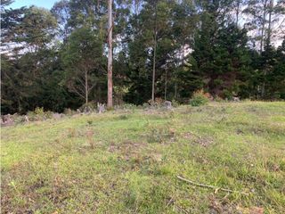 Venta de Lote en Rionegro