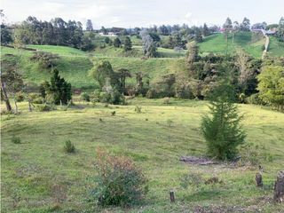 Venta de Lote en Rionegro